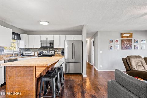 Tiny photo for 257 Gamble Lane, LaFollette, TN 37766 (MLS # 1335423)