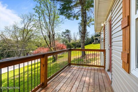 Tiny photo for 257 Gamble Lane, LaFollette, TN 37766 (MLS # 1335423)
