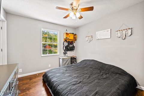 Tiny photo for 257 Gamble Lane, LaFollette, TN 37766 (MLS # 1335423)