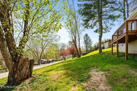 Tiny photo for 257 Gamble Lane, LaFollette, TN 37766 (MLS # 1335423)