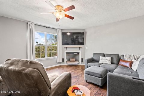 Tiny photo for 257 Gamble Lane, LaFollette, TN 37766 (MLS # 1335423)