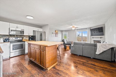 Tiny photo for 257 Gamble Lane, LaFollette, TN 37766 (MLS # 1335423)