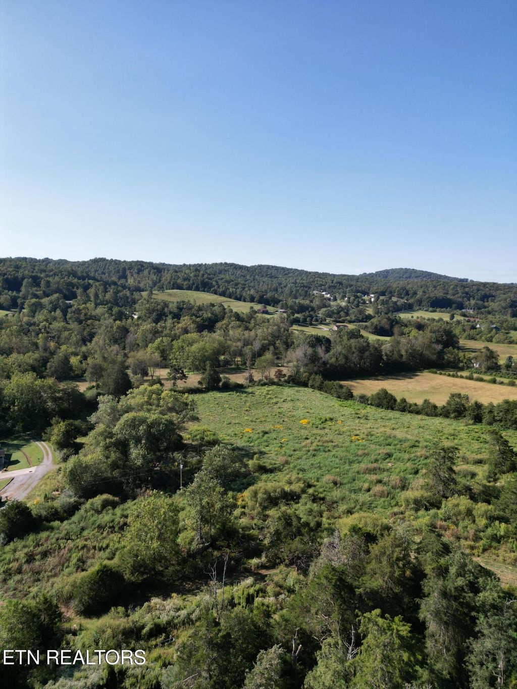 Photo of 317 Singleton Hollow Rd #lot 1, Speedwell, TN 37870 (MLS # 1314917)
