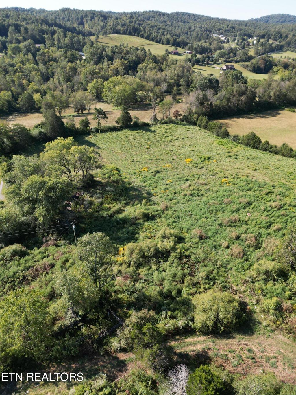 Photo of 317 Singleton Hollow Rd #lot 1, Speedwell, TN 37870 (MLS # 1314917)