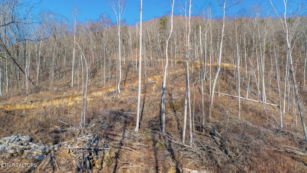 Photo of 187 Eagle View Lane, Jacksboro, TN 37757 (MLS # 1329518)