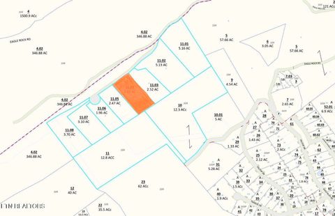 187 Eagle View Lane Jacksboro TN 37757