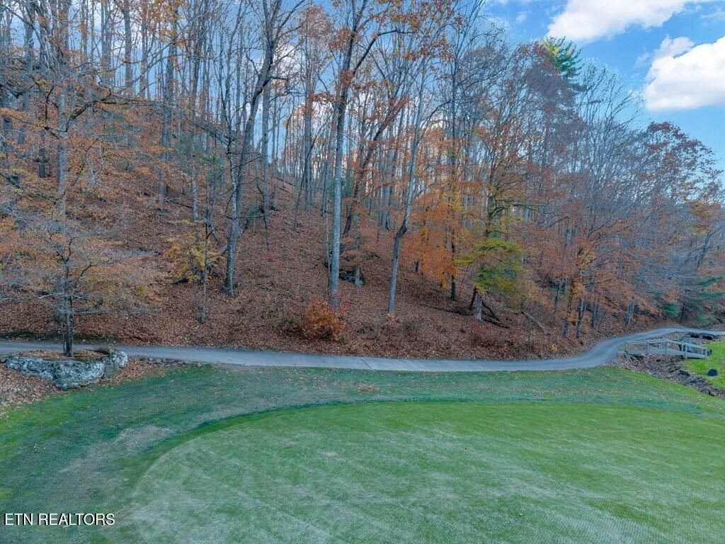 Photo of 141143 Havenridge Circle Ct, Crossville, TN 38558 (MLS # 1343971)