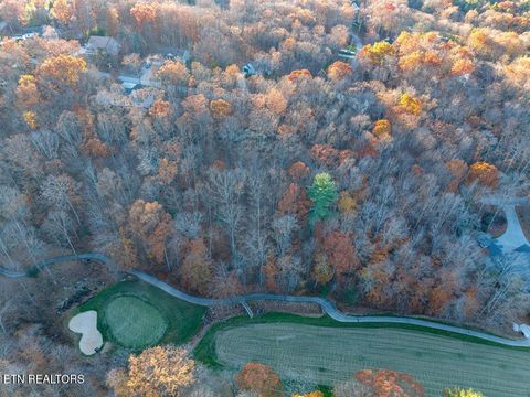 Photo of 141143 Havenridge Circle Ct, Crossville, TN 38558 (MLS # 1343971)