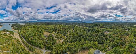 Tiny photo for 220 Pheasant Court, Sevierville, TN 37876 (MLS # 1319008)