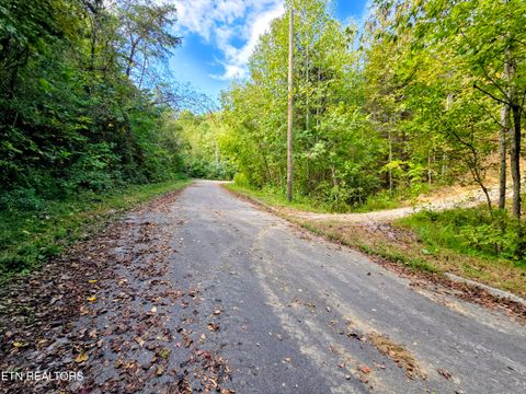 Tiny photo for 220 Pheasant Court, Sevierville, TN 37876 (MLS # 1319008)