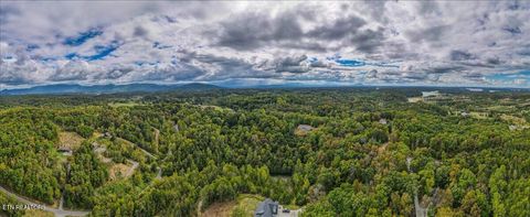 Tiny photo for 220 Pheasant Court, Sevierville, TN 37876 (MLS # 1319008)