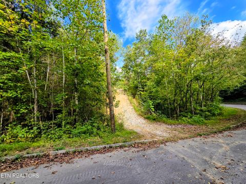 Tiny photo for 220 Pheasant Court, Sevierville, TN 37876 (MLS # 1319008)