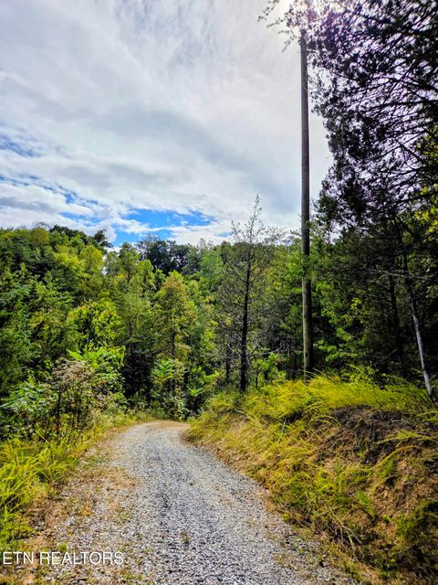 Tiny photo for 220 Pheasant Court, Sevierville, TN 37876 (MLS # 1319008)