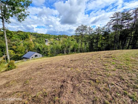 Tiny photo for 220 Pheasant Court, Sevierville, TN 37876 (MLS # 1319008)