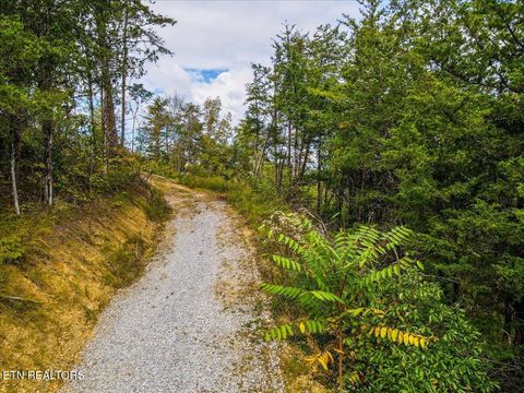 Tiny photo for 220 Pheasant Court, Sevierville, TN 37876 (MLS # 1319008)