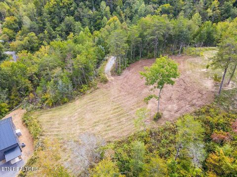 Tiny photo for 220 Pheasant Court, Sevierville, TN 37876 (MLS # 1319008)