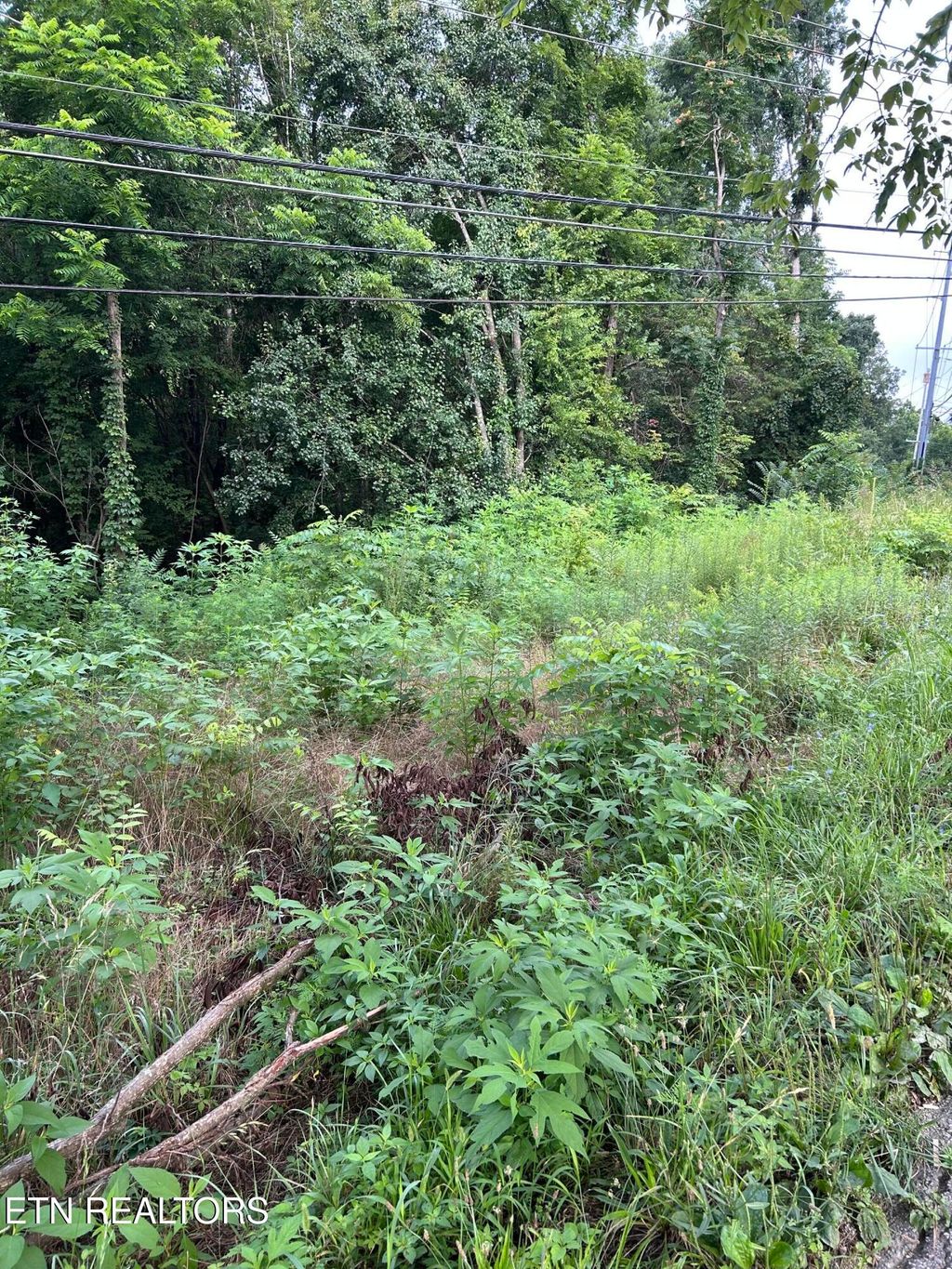 Photo of 1413 Joe Hinton Rd, Knoxville, TN 37931 (MLS # 1348843)