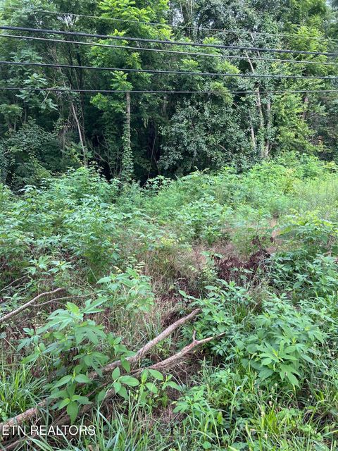 Photo of 1413 Joe Hinton Rd, Knoxville, TN 37931 (MLS # 1348843)