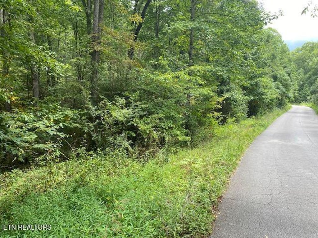Photo of 35 Ottoma Drive #Lot 35, Crossville, TN 38555 (MLS # 1345591)