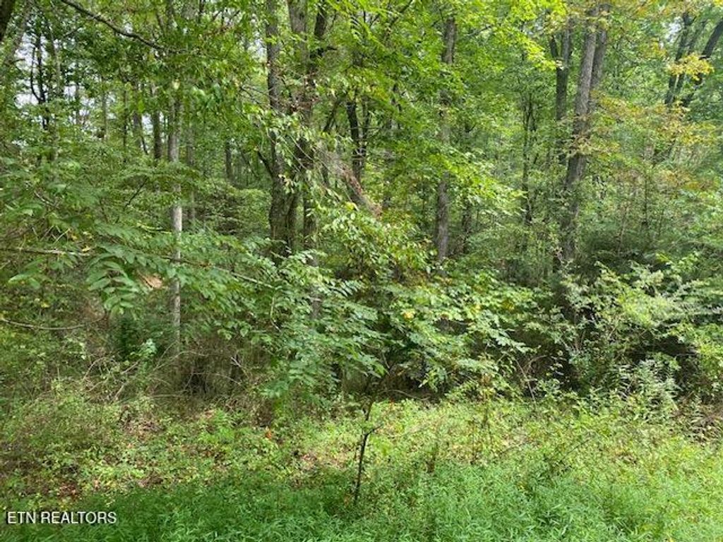 Photo of 35 Ottoma Drive #Lot 35, Crossville, TN 38555 (MLS # 1345591)