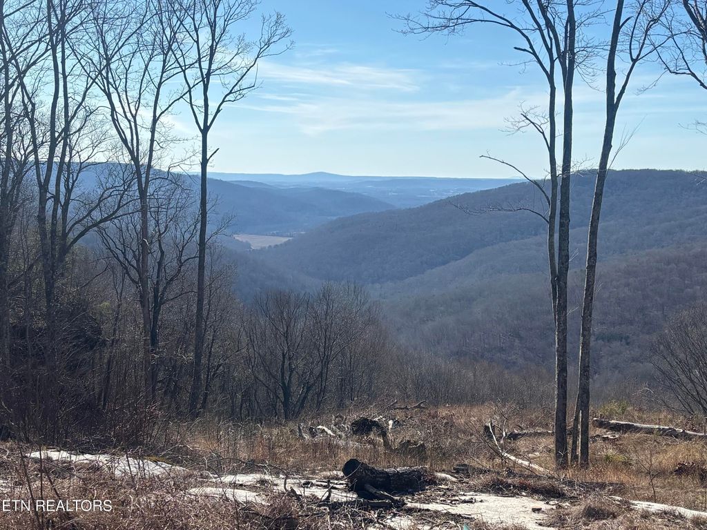 Photo of 1560 E Overlook Rd, Monterey, TN 38574 (MLS # 1320556)