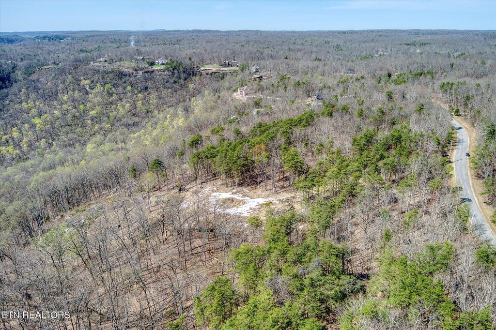 Photo of 1560 E Overlook Rd, Monterey, TN 38574 (MLS # 1320556)