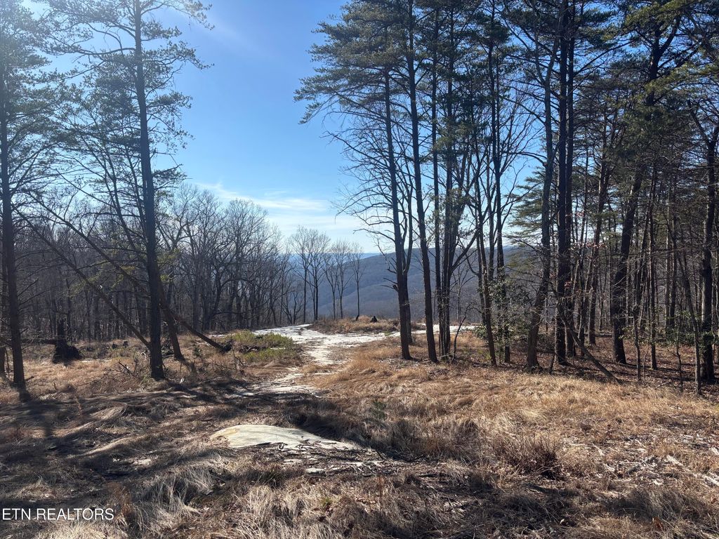 Photo of 1560 E Overlook Rd, Monterey, TN 38574 (MLS # 1320556)
