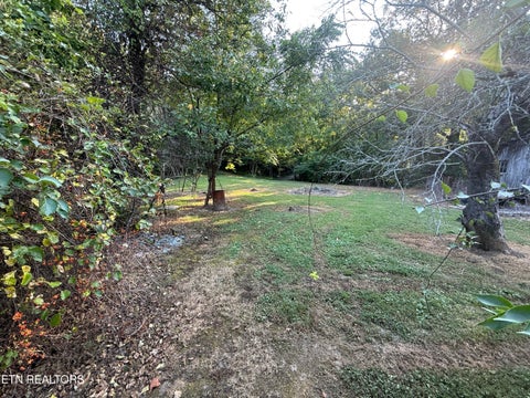 Tiny photo for 835 Vowell Mountain Lane, Rocky Top, TN 37769 (MLS # 1356393)