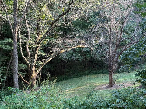 Tiny photo for 835 Vowell Mountain Lane, Rocky Top, TN 37769 (MLS # 1356393)