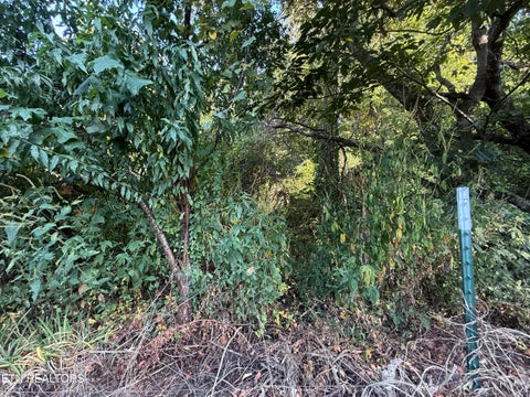 Tiny photo for 835 Vowell Mountain Lane, Rocky Top, TN 37769 (MLS # 1356393)