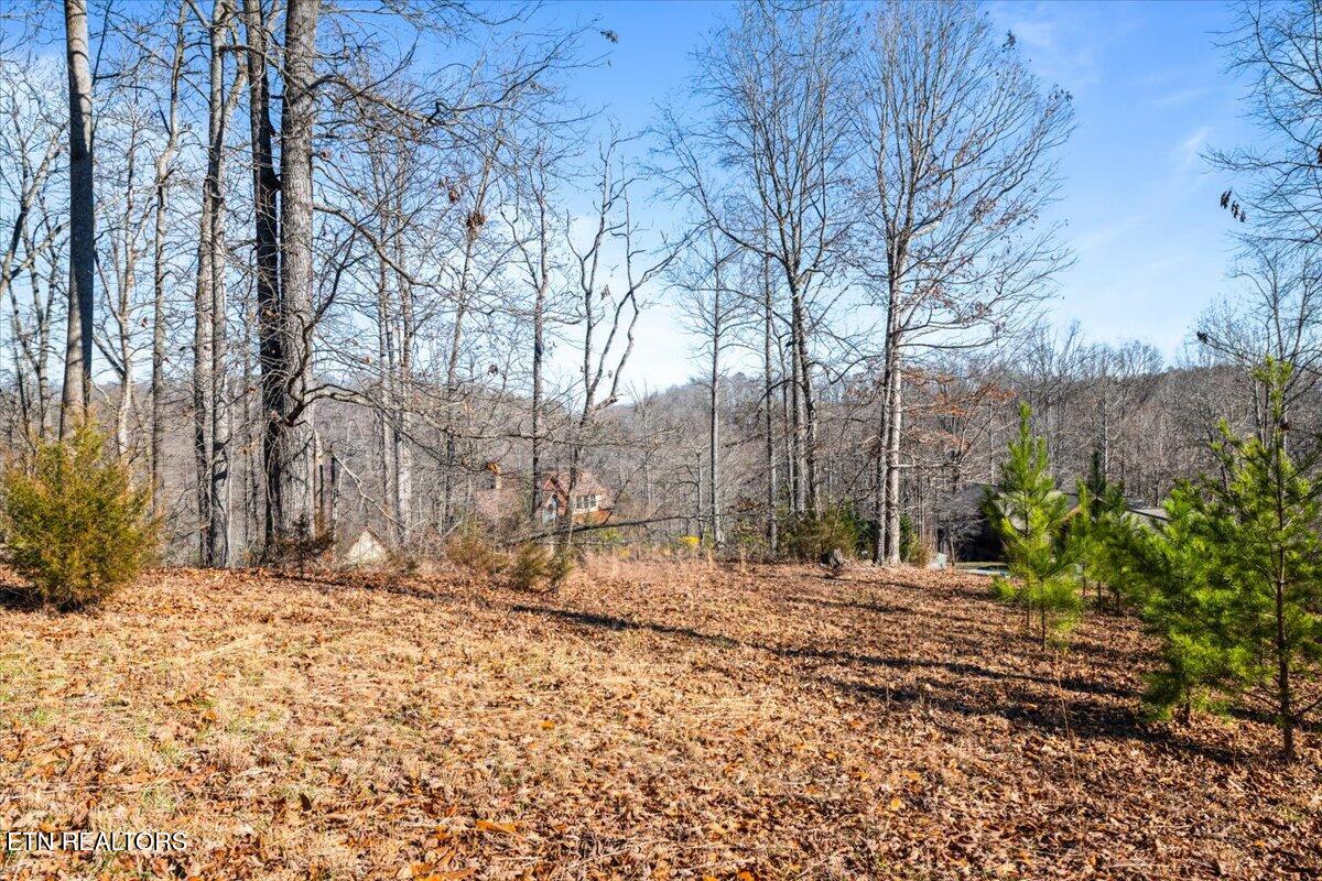 Foxwood Drive