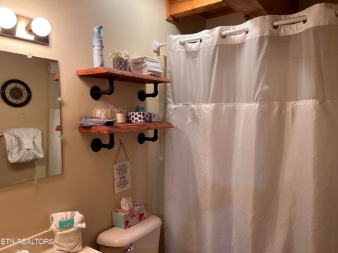 Tiny photo for 7116 E Lamar Alexander Pkwy, Townsend, TN 37882 (MLS # 1335698)