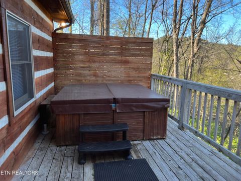 Tiny photo for 7116 E Lamar Alexander Pkwy, Townsend, TN 37882 (MLS # 1335698)