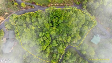 Smoky Vista Way Sevierville TN 37862