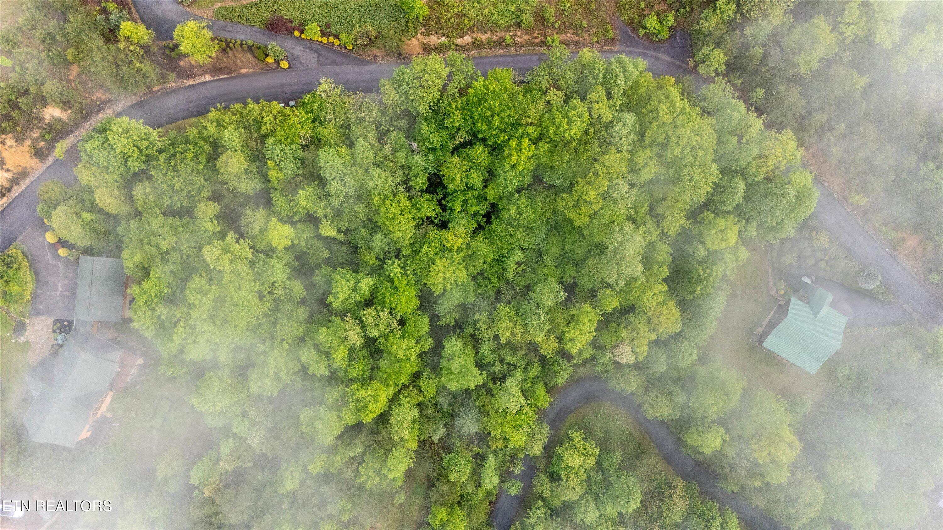 Smoky Vista Way