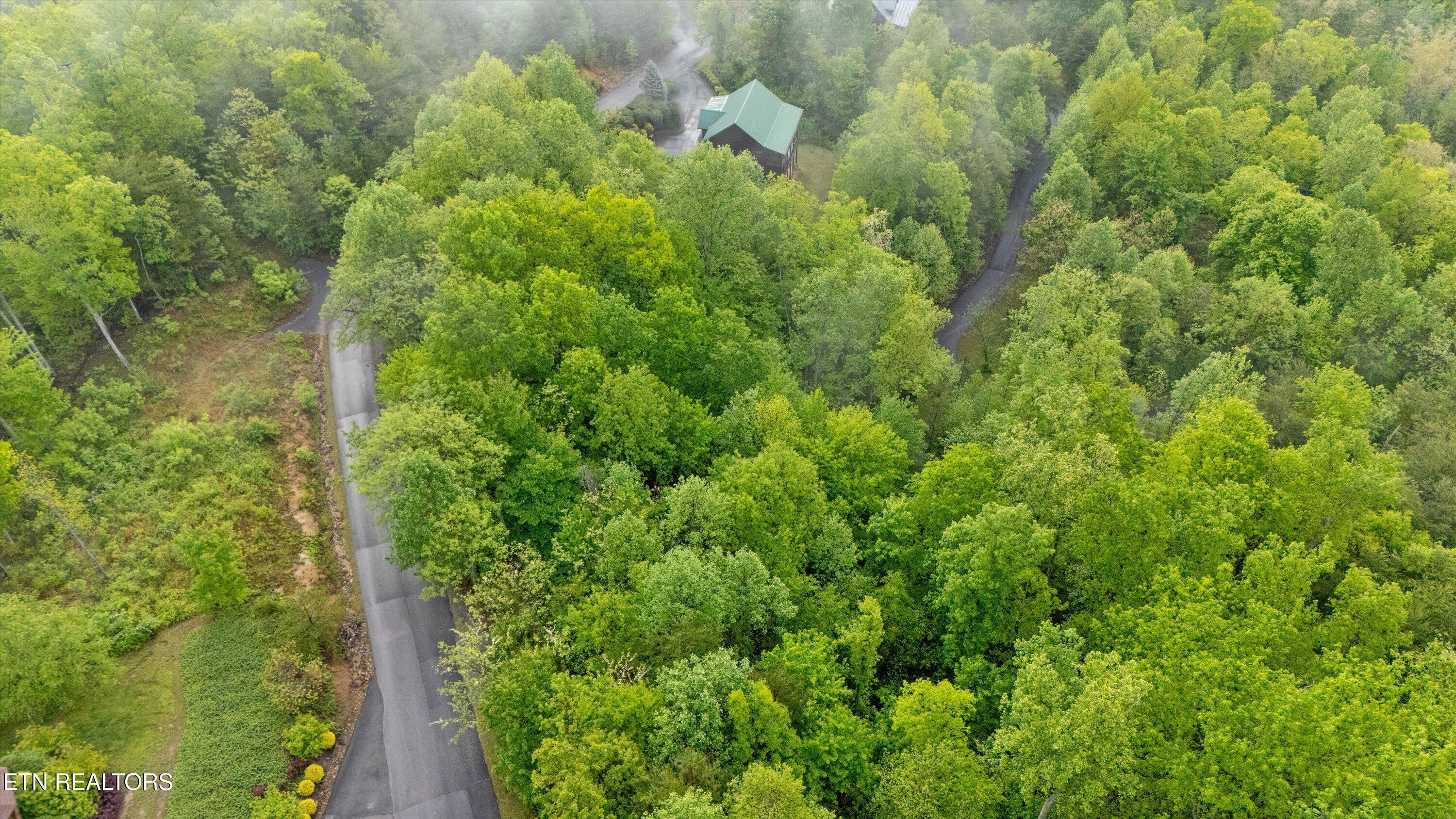 Smoky Vista Way