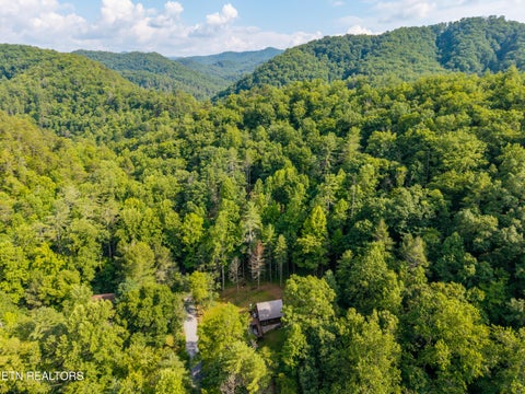Tiny photo for 3336 Waldens Creek Rd, Sevierville, TN 37862 (MLS # 1347782)