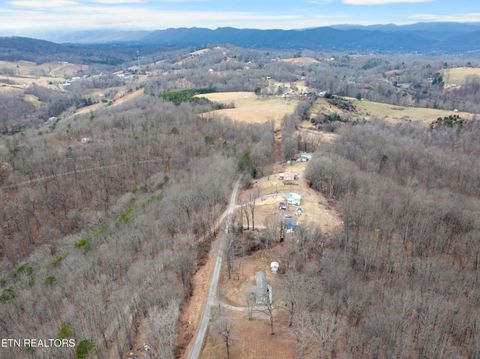 Tiny photo for 561 Miller Fork Lane, LaFollette, TN 37766 (MLS # 1330159)