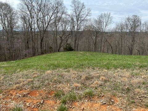 Tiny photo for 260 Marble Point Way, New Tazewell, TN 37825 (MLS # 1333247)