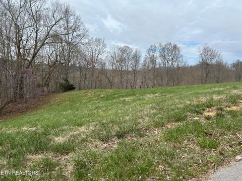 Photo of 260 Marble Point Way, New Tazewell, TN 37825 (MLS # 1333247)
