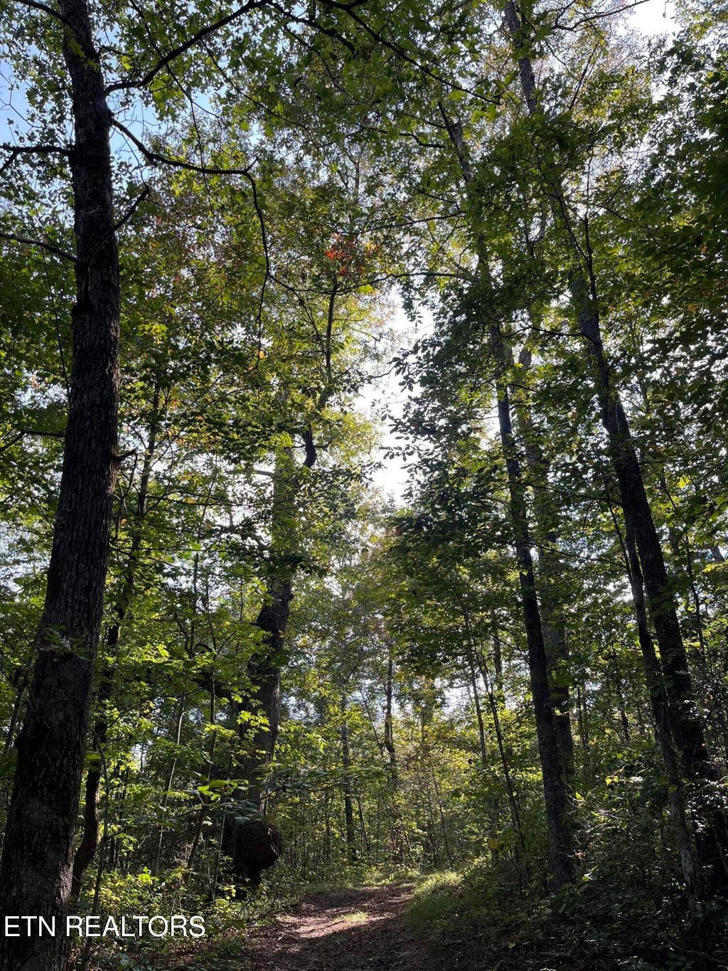 Photo of Ridge Top Drive, Jamestown, TN 38556 (MLS # 1335845)