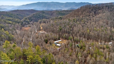 Tiny photo for 1223 Rocky Flats Rd, Cosby, TN 37722 (MLS # 1357775)