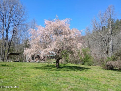 Tiny photo for 1223 Rocky Flats Rd, Cosby, TN 37722 (MLS # 1357775)