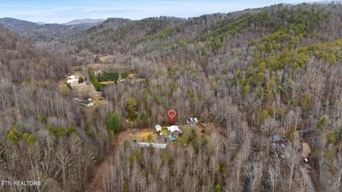 Tiny photo for 1223 Rocky Flats Rd, Cosby, TN 37722 (MLS # 1357775)