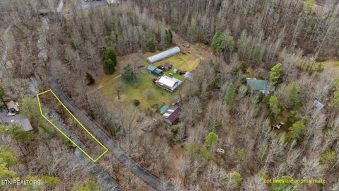 Tiny photo for 1223 Rocky Flats Rd, Cosby, TN 37722 (MLS # 1357775)