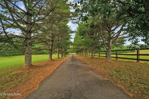 Photo of 1541 Clear Creek Rd, Crossville, TN 38571 (MLS # 1326252)