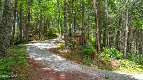 Tiny photo for 201 Holder Cemetery Rd, Tellico Plains, TN 37385 (MLS # 1342792)