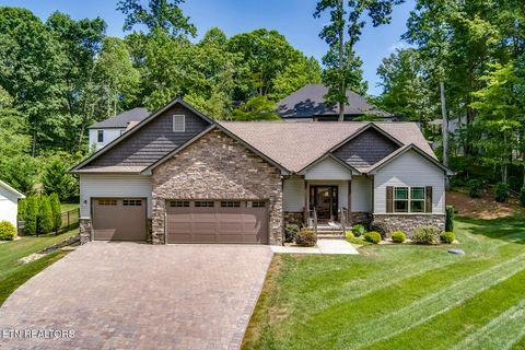 244 Chuniloti Way Loudon TN 37774