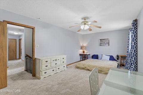 Tiny photo for 7940 Castlecomb Rd, Powell, TN 37849 (MLS # 1329389)