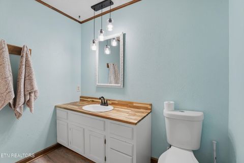 Tiny photo for 7940 Castlecomb Rd, Powell, TN 37849 (MLS # 1329389)